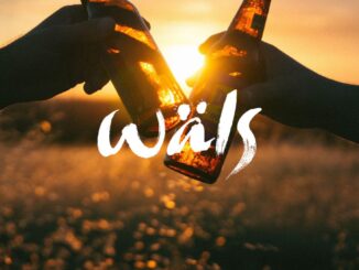 Cervejaria Wals (imagem: Canva)