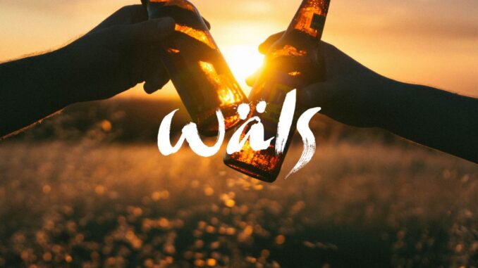 Cervejaria Wals (imagem: Canva) Cervejaria Wals (imagem: Canva)